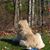 Patricia Bolson Robinson's profile image