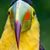 Jeannie Boyd's profile image