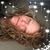 Tina Winters's profile image