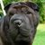Tassilo Hill's profile image