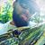 Shaun M. Cimini's profile image