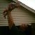 Colton Sharp's profile image