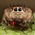 Isaac Whitmore's profile image