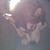 Robin Gingerich's profile image