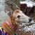 Bonnie Sealey's profile image