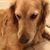 Tracy Mower-Burch's profile image
