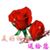 Kevin Trang's profile image