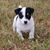 JoAnn Wolf's profile image