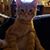 Steve Hayer's profile image