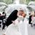 Kelli Cody Brookins's profile image