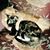 Mimi Cullis's profile image