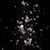 Jing Lin's profile image