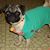 Kay Werner's profile image