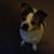 Don George's profile image
