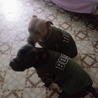 Maria Stasio's profile image