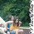 Linda Last Tesar's profile image