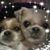 Kathy Lebers's profile image