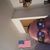 Frank J Nicolato's profile image