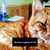 Cardwell Weiss M Nancy's profile image