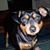 Bonnie Sampsell's profile image
