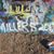 Melissa Miller's profile image