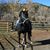 Sarah Shipman's profile image