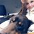 Sarah Kathleen Ryan's profile image