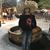 Izabella Ruiz Ortega's profile image
