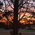 Robin Anderson's profile image