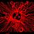 Michelle Renee Lindsay's profile image
