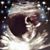 Cindy Weyenberg's profile image
