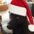 Donna Luke's profile image