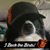 Shane Ogletree's profile image