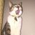 Stacey Cobo's profile image