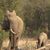 Susan Burk Bader's profile image