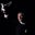 Paul Lee Magic Show's profile image