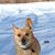Sonia Brocko's profile image