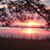 Debi Smith's profile image