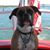 Sara Coil Osterlie's profile image