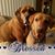 Jackie Lyon Miller's profile image