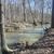 Shelley Harned Clark's profile image