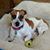 Lori Pifer's profile image