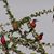 Pam Larry Helland's profile image