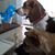 Debbie Meck Sanborn's profile image