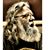 Russel G Radtke's profile image