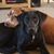 Mandy Godinez's profile image