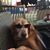 Sylvia Lopez's profile image