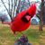 Tom Hall's profile image