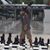 Wayne Houle's profile image