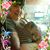 Kathleen Broyles-Huls's profile image